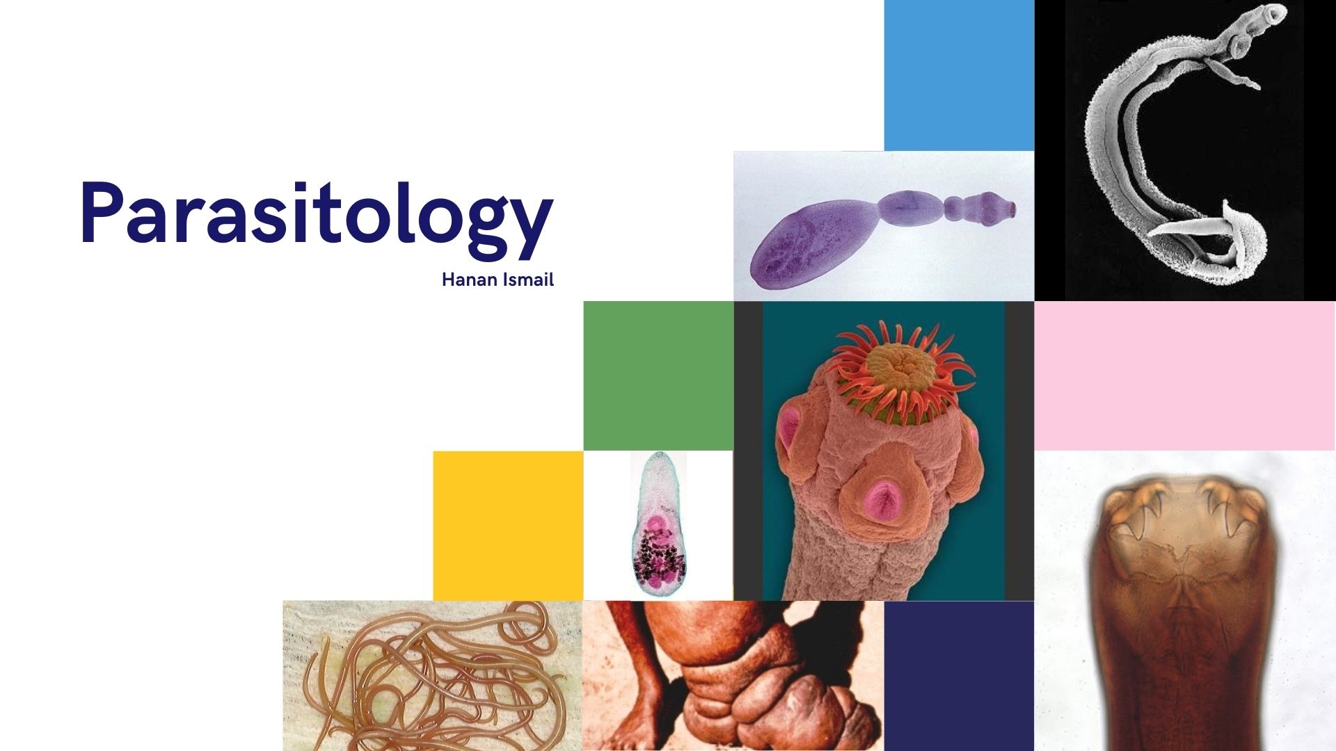 Parasitology zoo332 Chemistry & Zoology